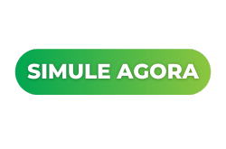 SIMULE-AGORA Home